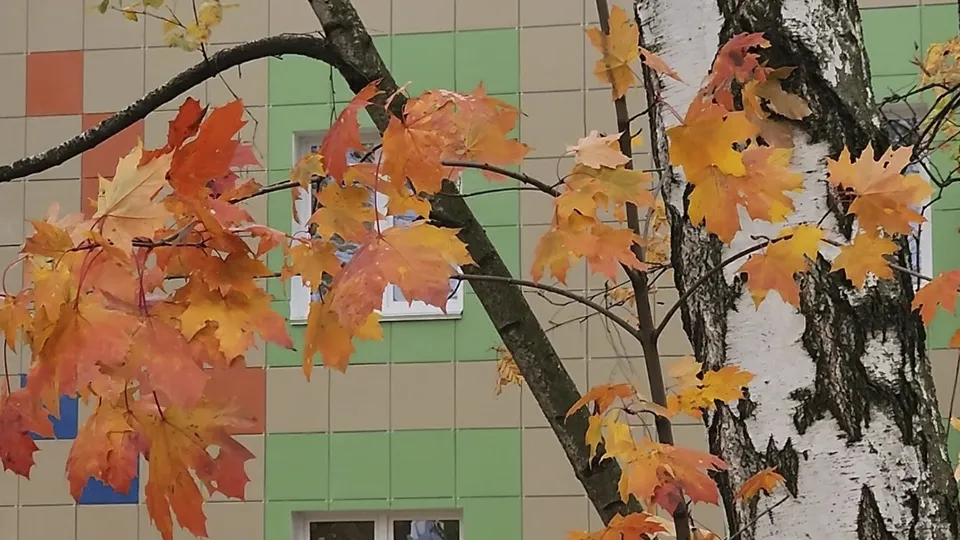 Фото: МедиаБанк Подмосковья/Михаил Раскин