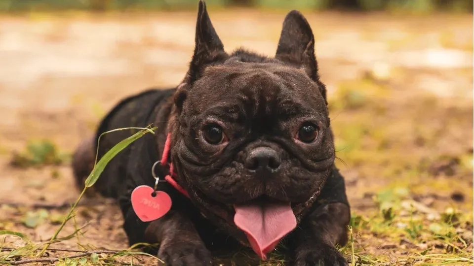 Фото: REGIONS/Наталия Надточая