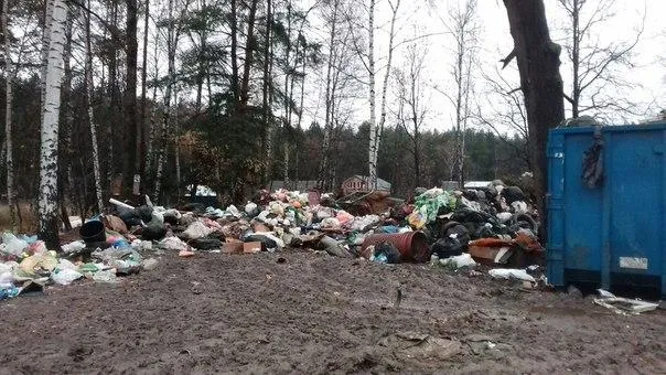 Свалка-гигант выросла рядом с домами в Одинцовском районе