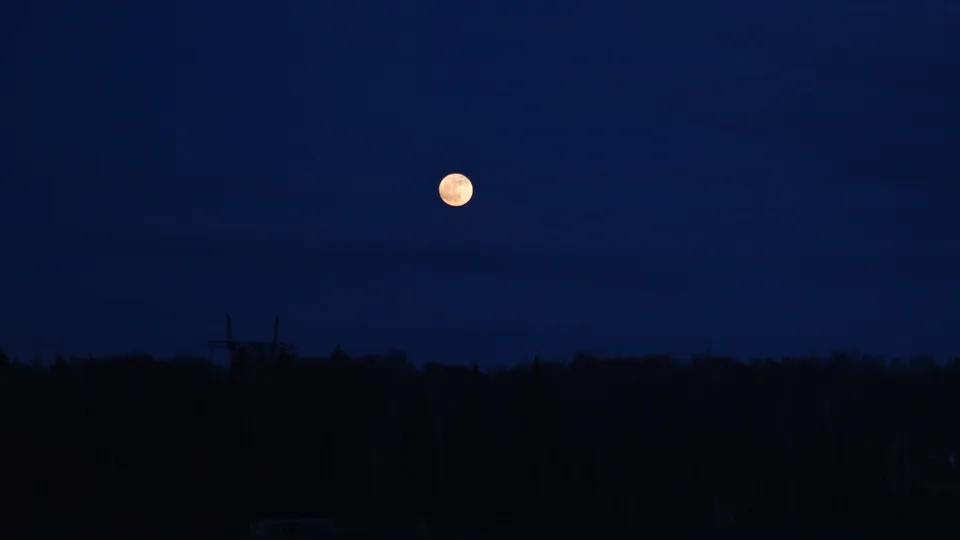 Фото: Ксения Карцева