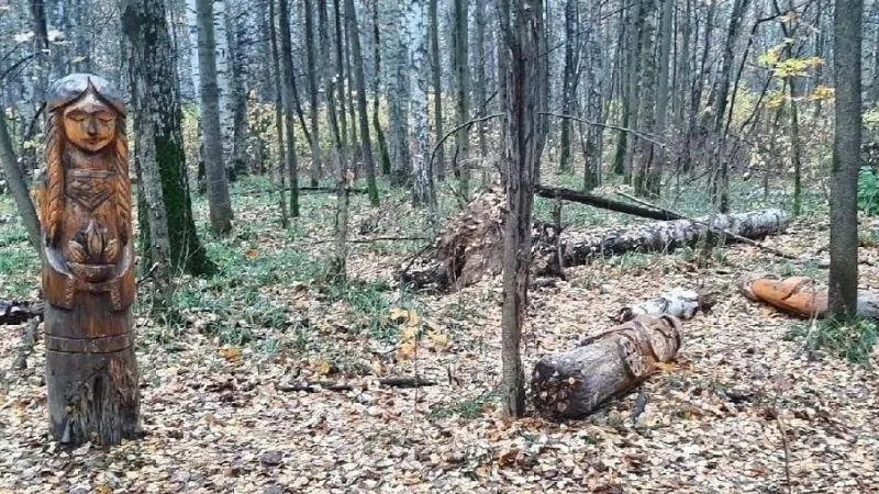 Вандалы повалили на землю деревянных идолов в Королеве
