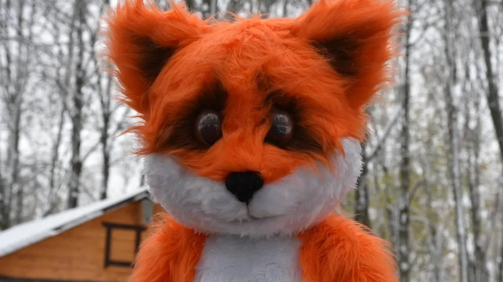 Фото: пресс-служба администрации городского округа Лотошино