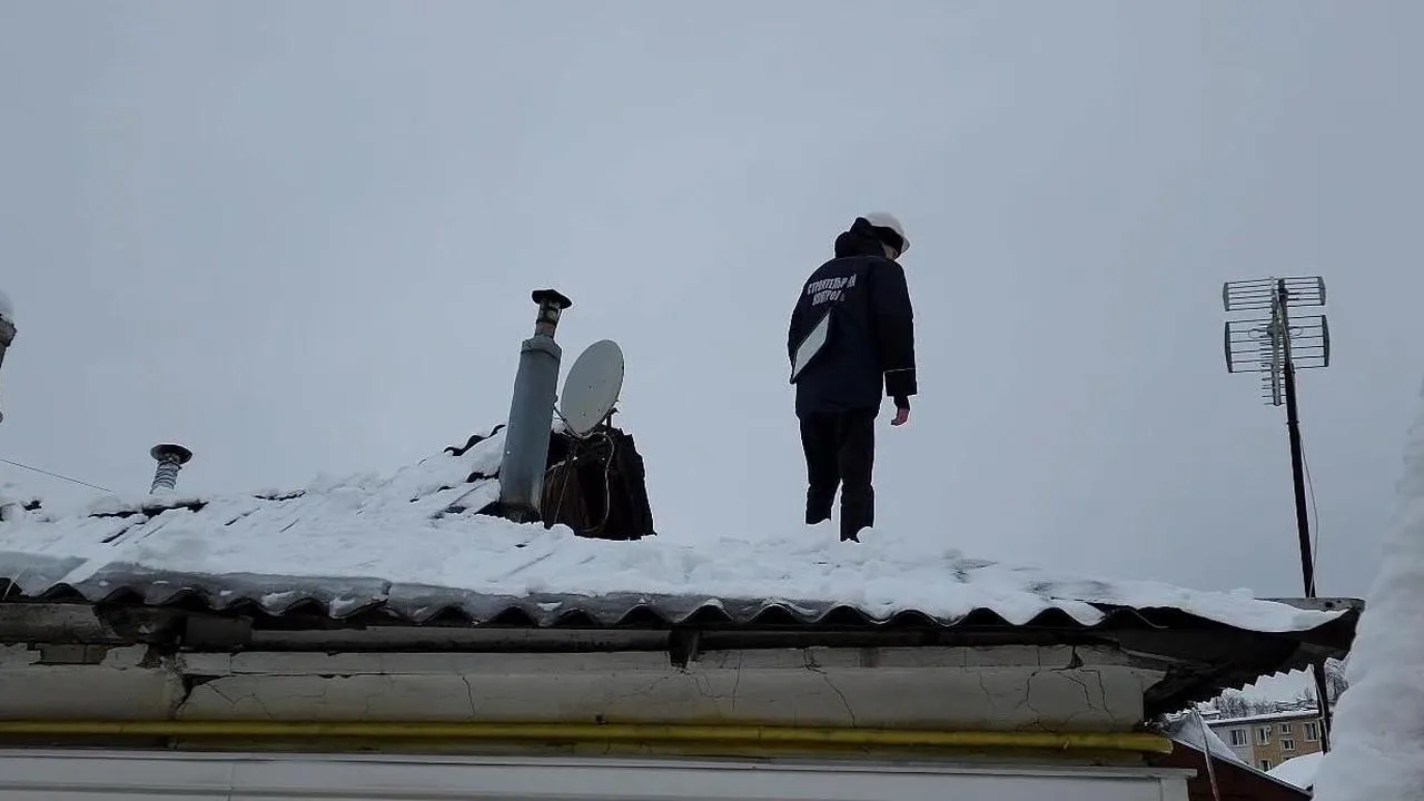 МедиаБанк Подмосковья/Ольга Антонова