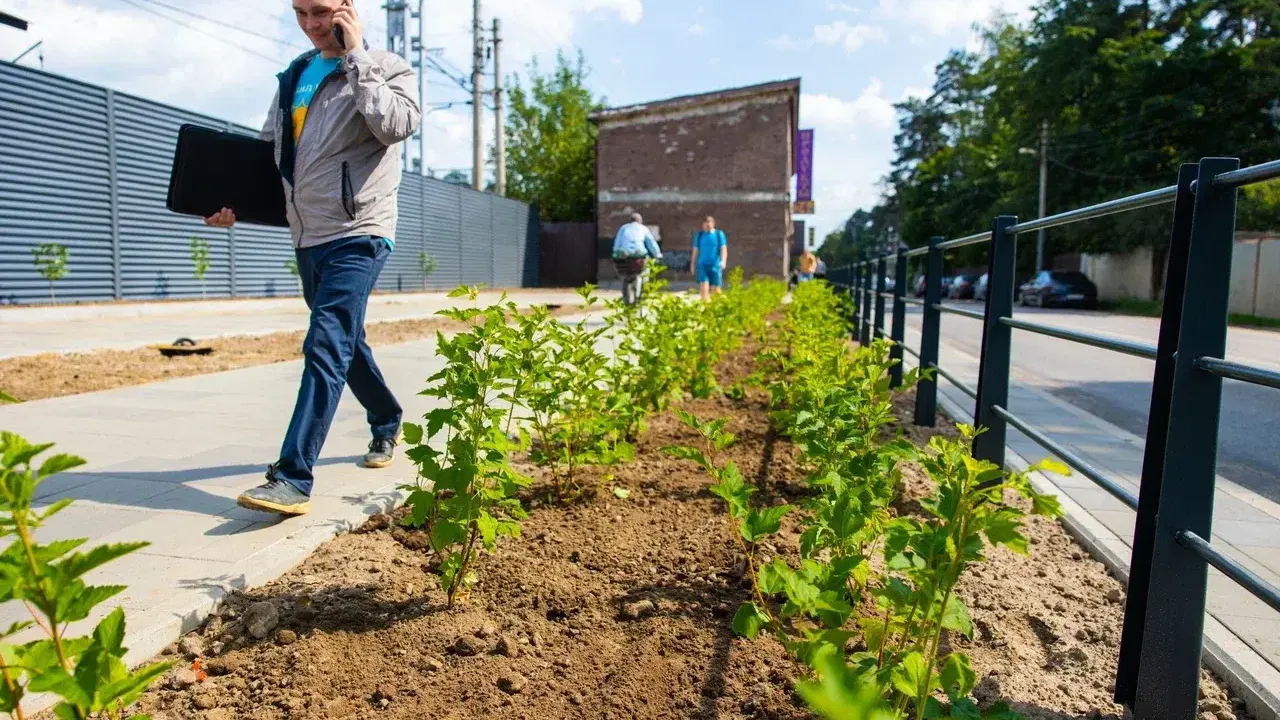 Министерство благоустройства Подмосковья