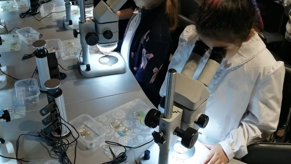 Фото: vk.com/МОУ гимназия №7 г.о.Лыткарино