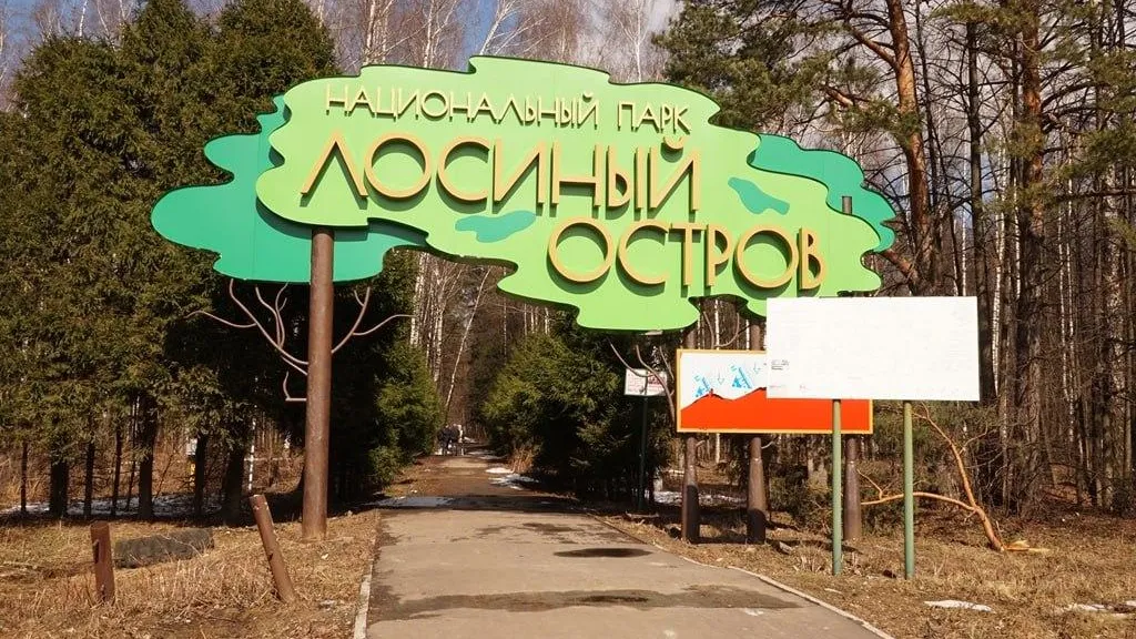 Фото из соцсетей