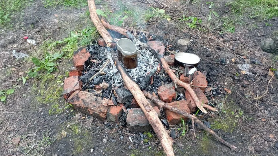 Фото: Комитет лесного хозяйства  Московской области