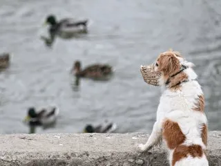 Фото: РИА Новости/Павел Бедняков