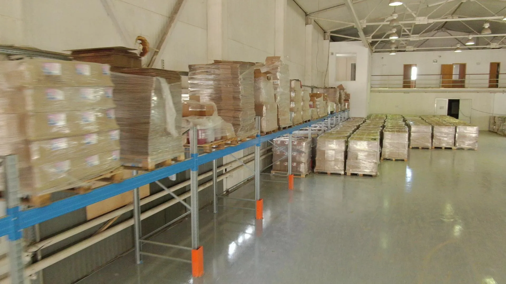 Ксения Борцова