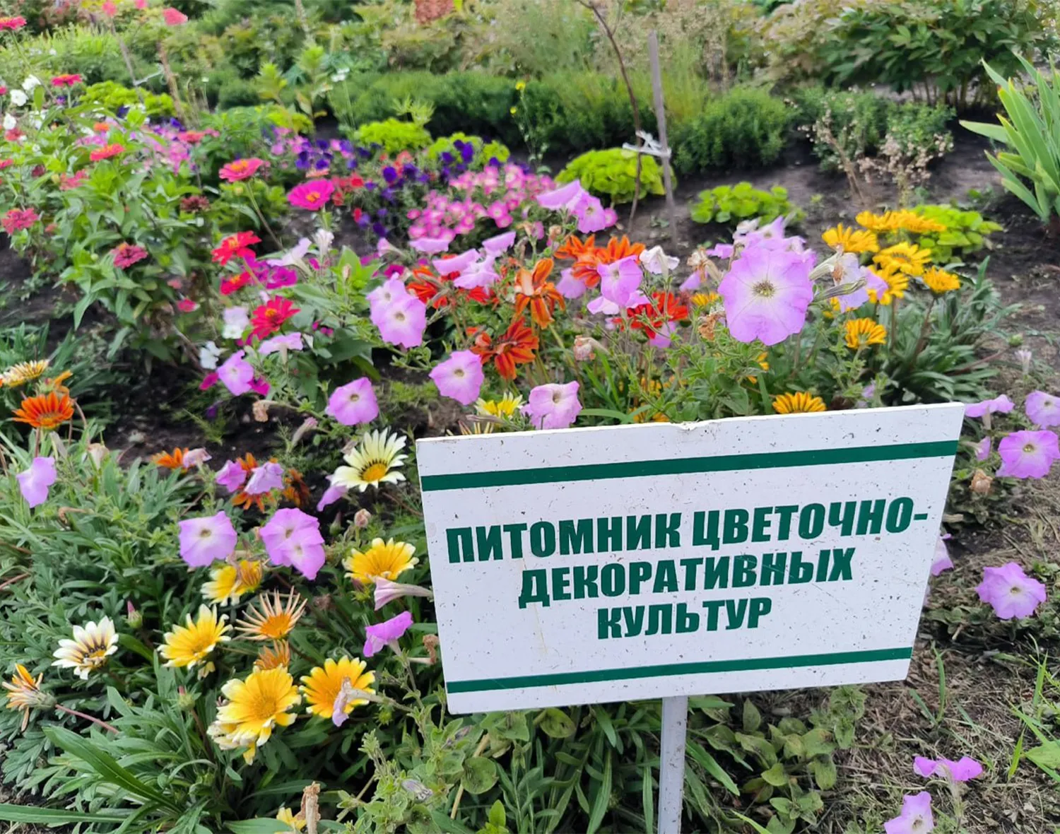 Фото: Управление образования администрации м.о. Зарайск