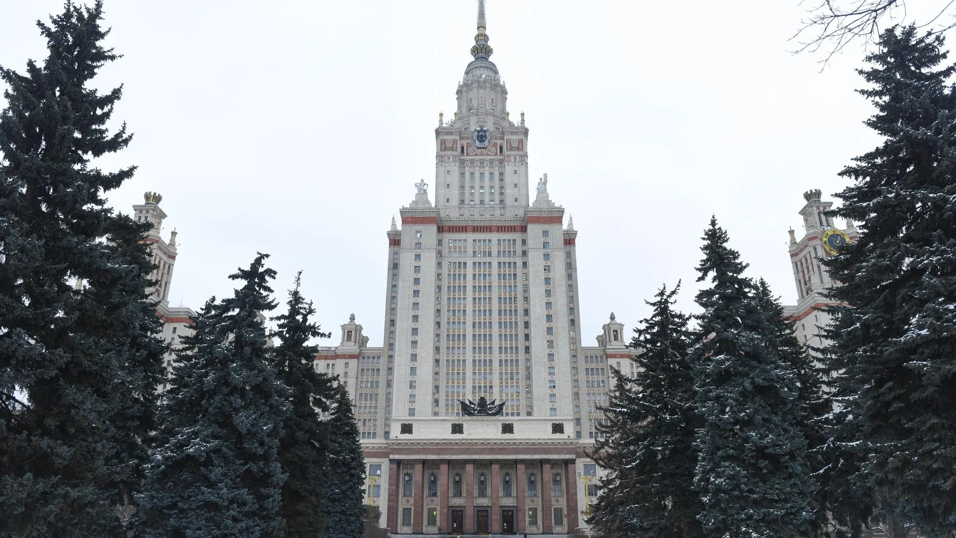 Депутат Толмачев определил значение закрытия единственного европейского филиала МГУ