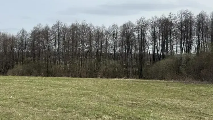 Участок на торгах (г.о. Серпухов)