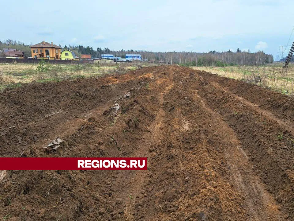 Фото: Валерия Тингаева