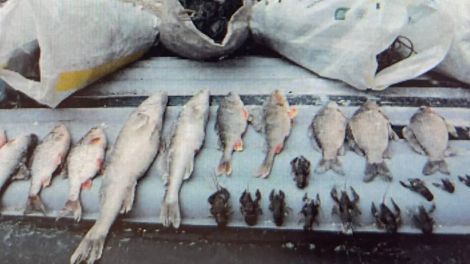 Фото: пресс-служба прокуратуры Московской области