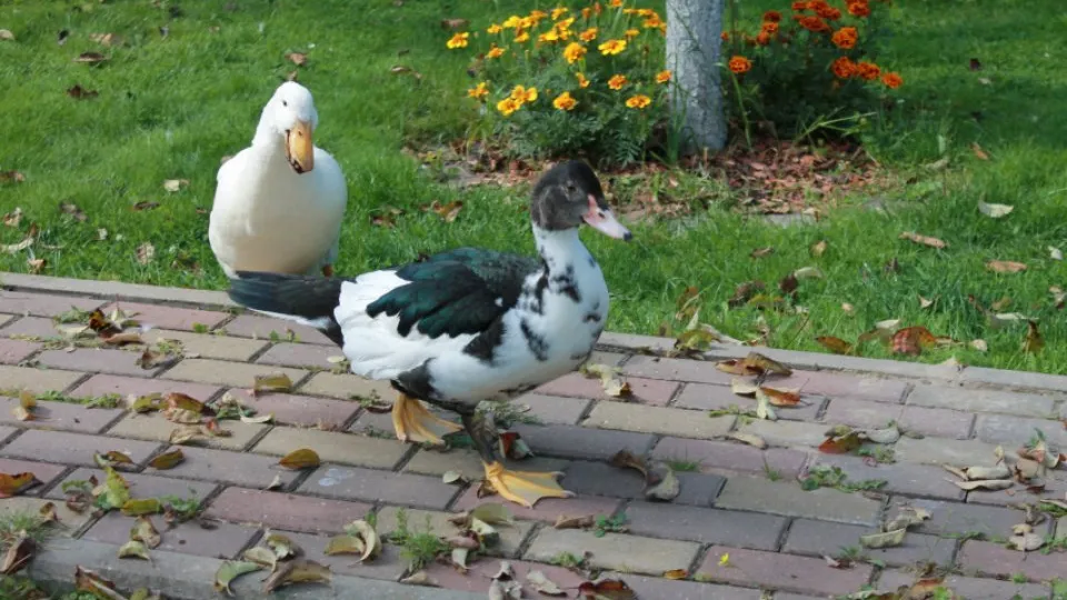 Фото: REGIONS/Илья Попов