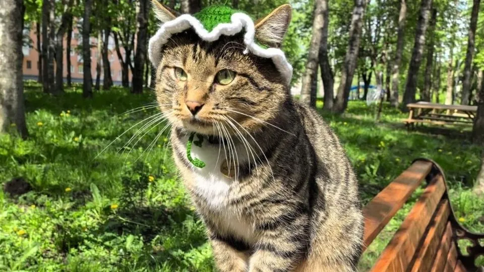 Фото: соцсети Сестрорецкого парка