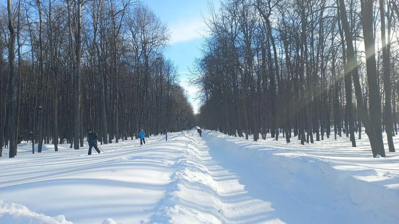 REGIONS/Олег Книжник