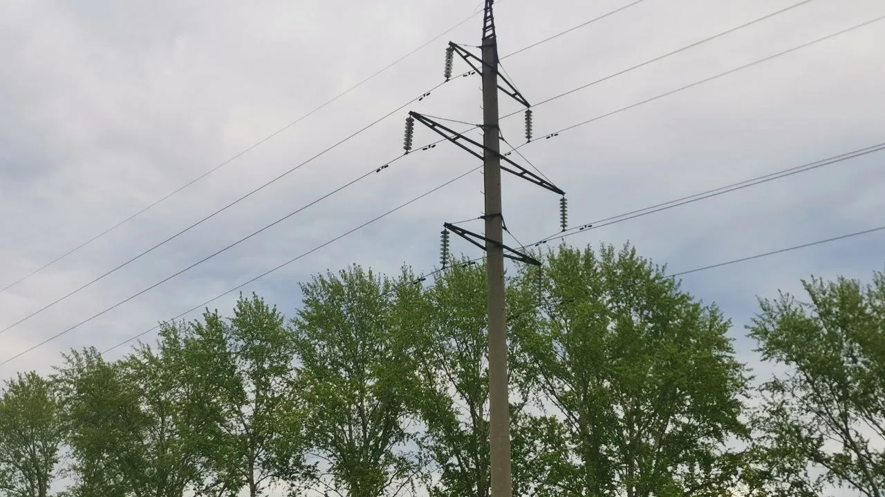 Фото: REGIONS/Дарья Кургузова