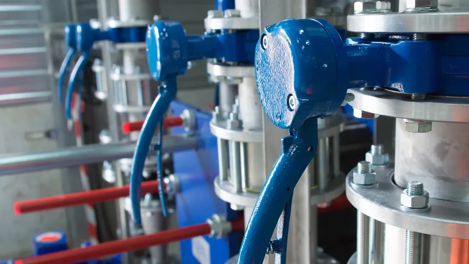 Фото: pxhere.com