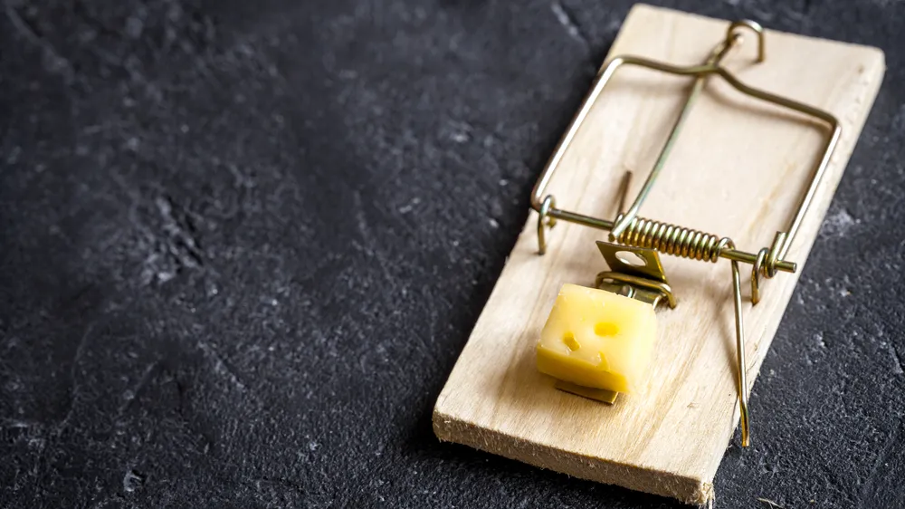 Фото: freepik.com