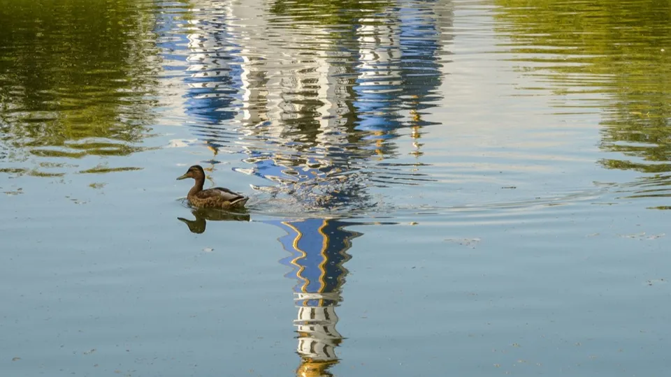 Фото: медиасток.рф