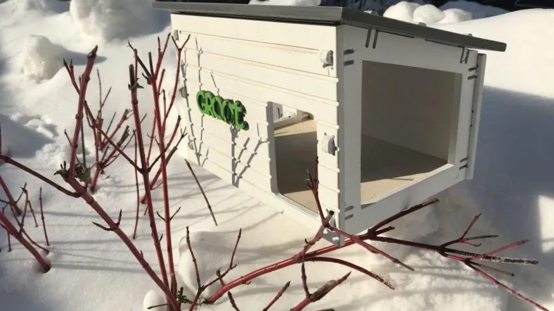 Бургеры из семечек и тыквенные снеки появятся в ресторанах для птиц в Химках