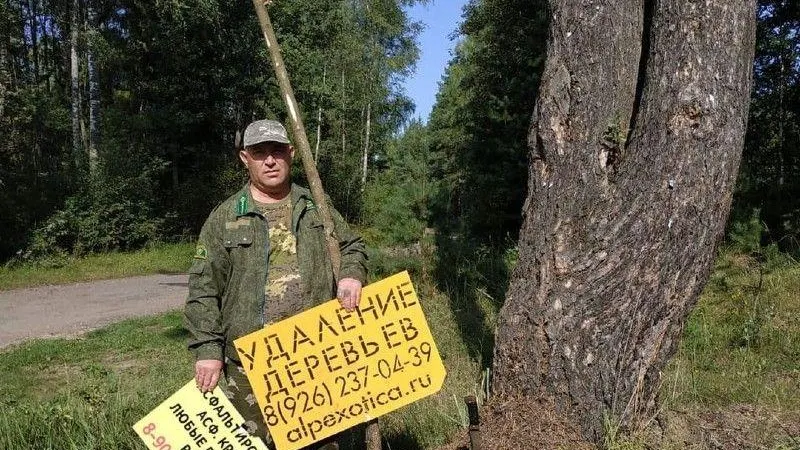 Лесничие Орехово-Зуево ведут бой с рекламой