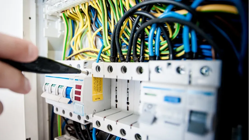 Фото: pxhere.com