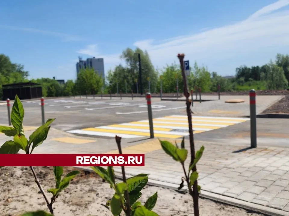 Фото: Мария Андрюхина