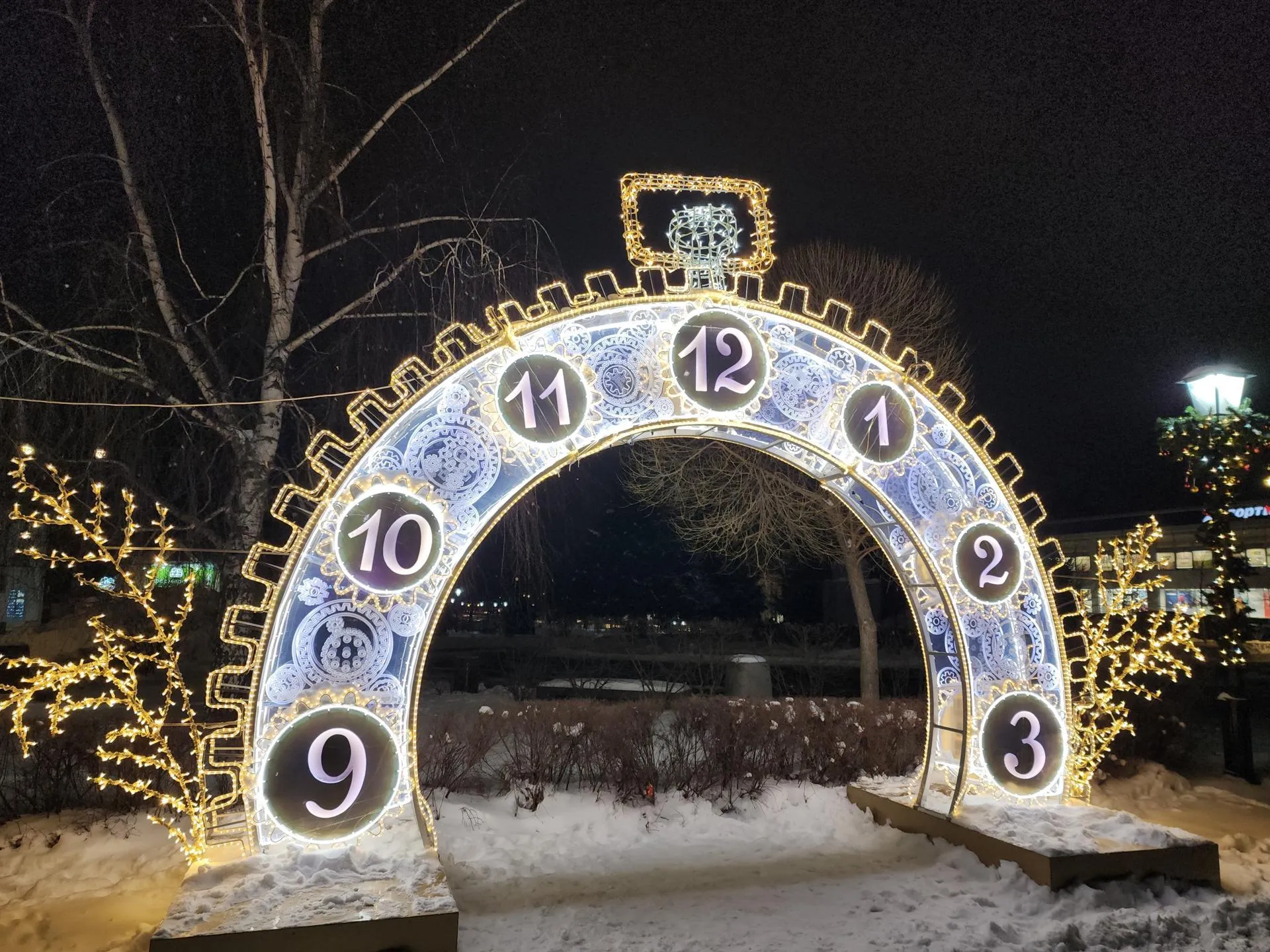 Фото: В. Соловьёва