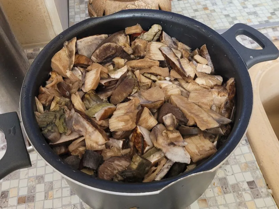 Фото: REGIONS/Анна Иванова