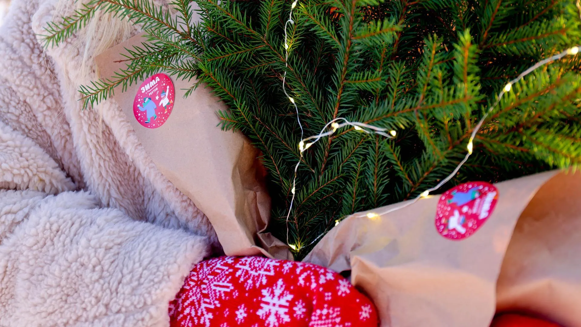 Министерство культуры и туризма Подмосковья