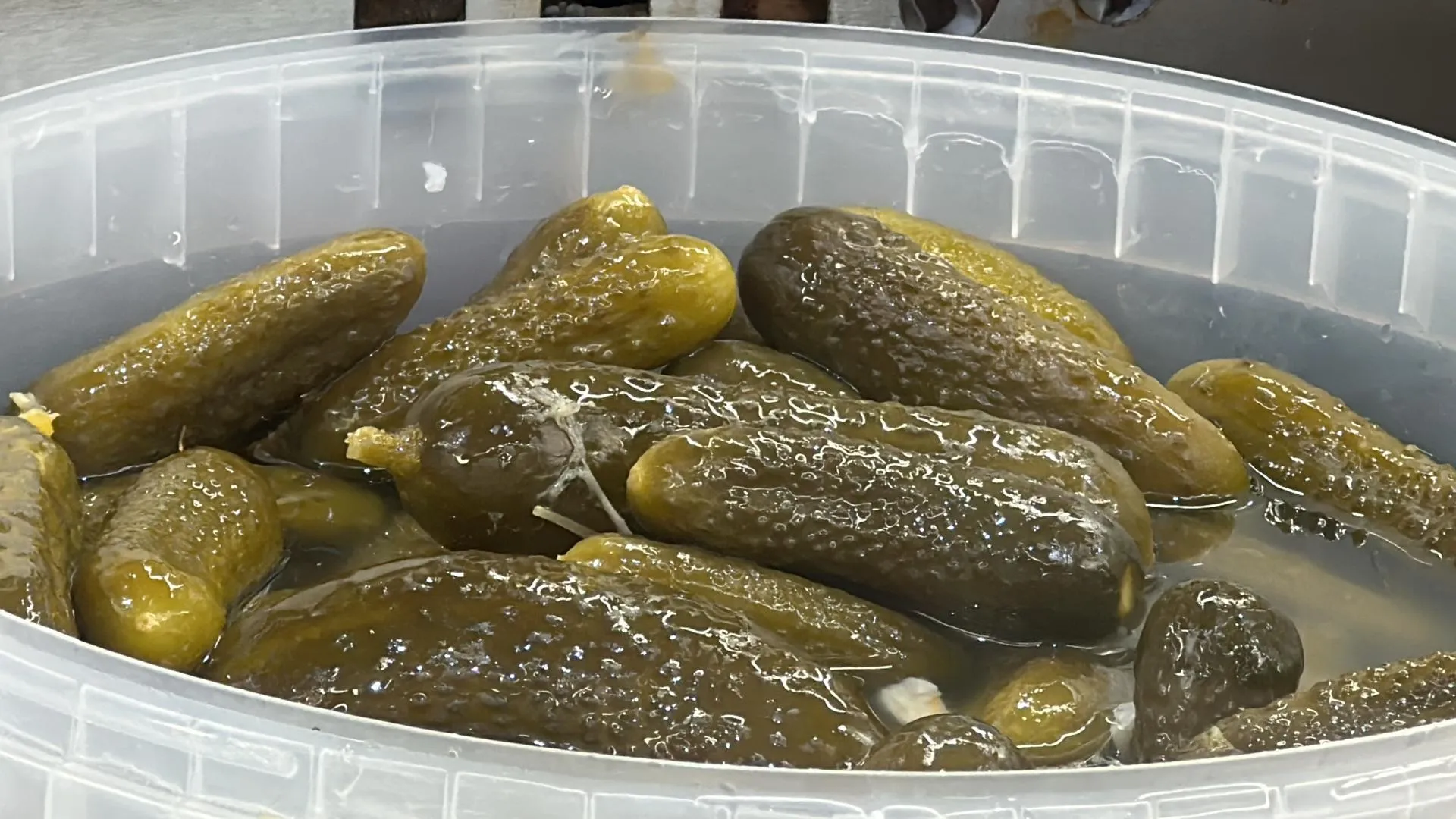 Мария Шматкова