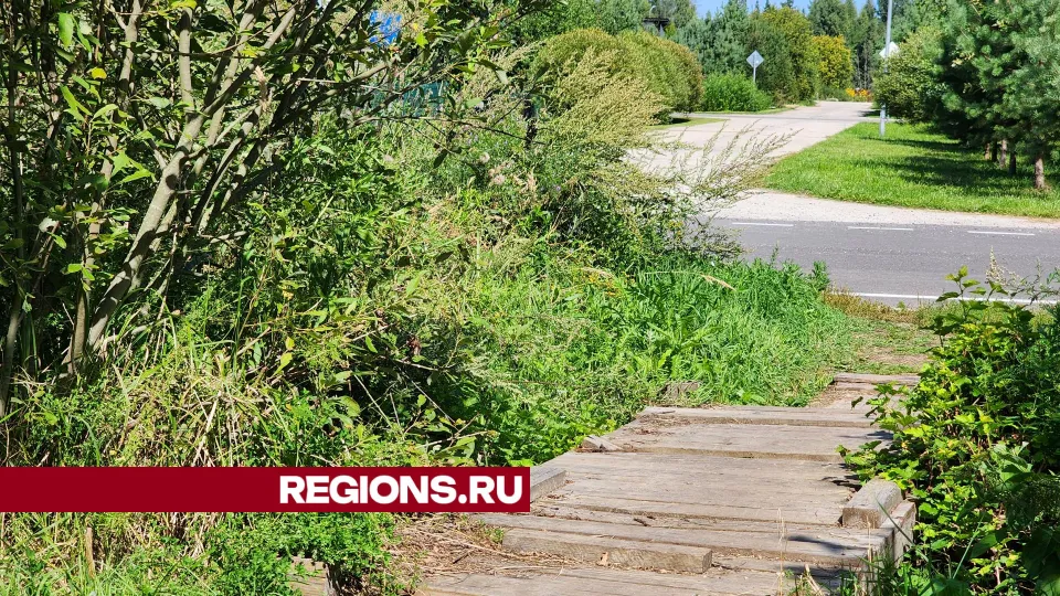 Фото: Арина Кузнецова