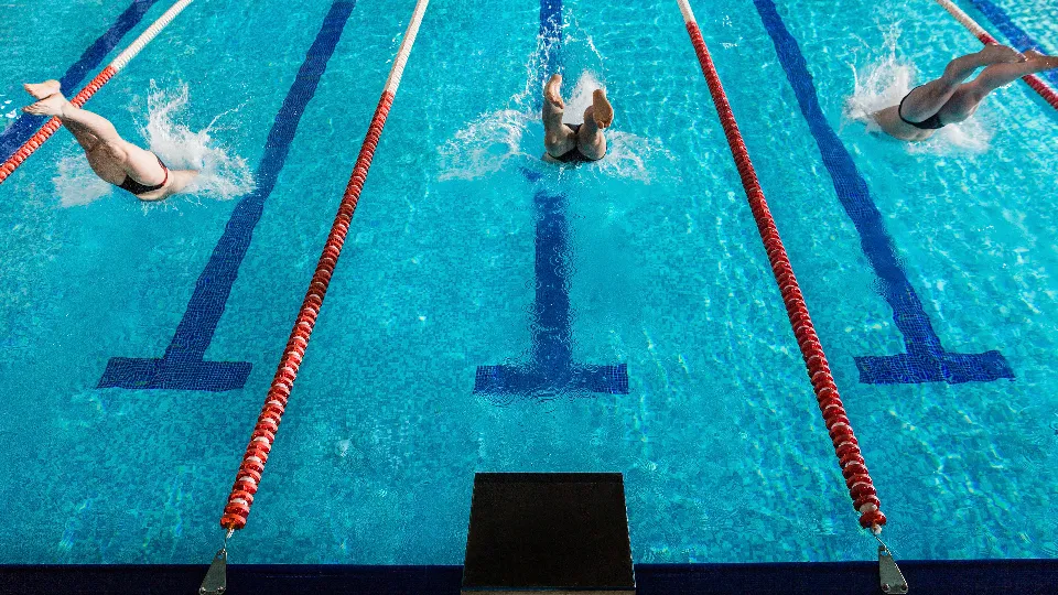 Фото: freepik.com