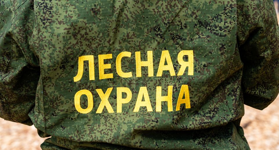 В среду на большей территории Подмосковья ожидается II класс пожарной опасности