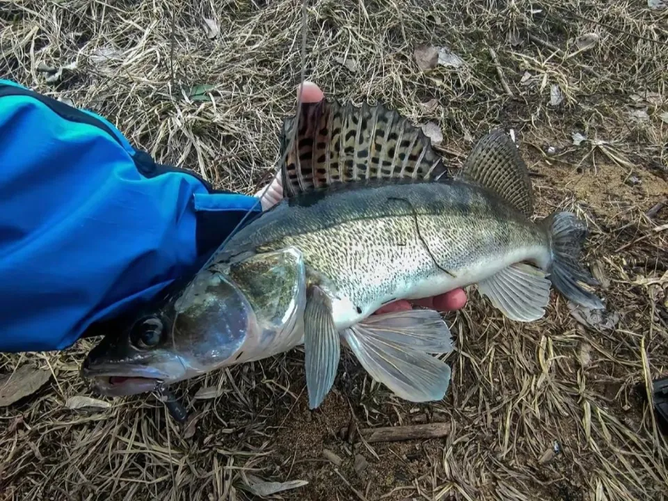 Фото: личный архив Родиона
