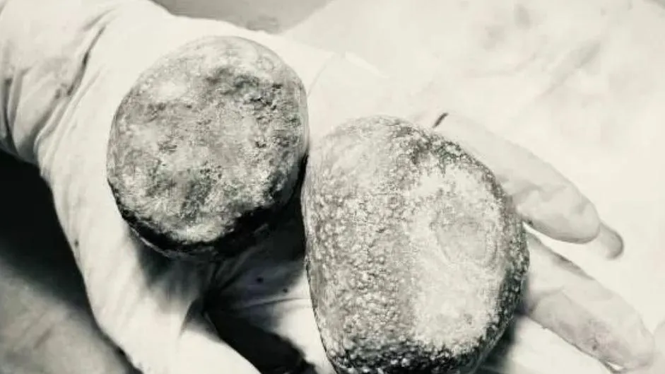 Фото из соцсетей