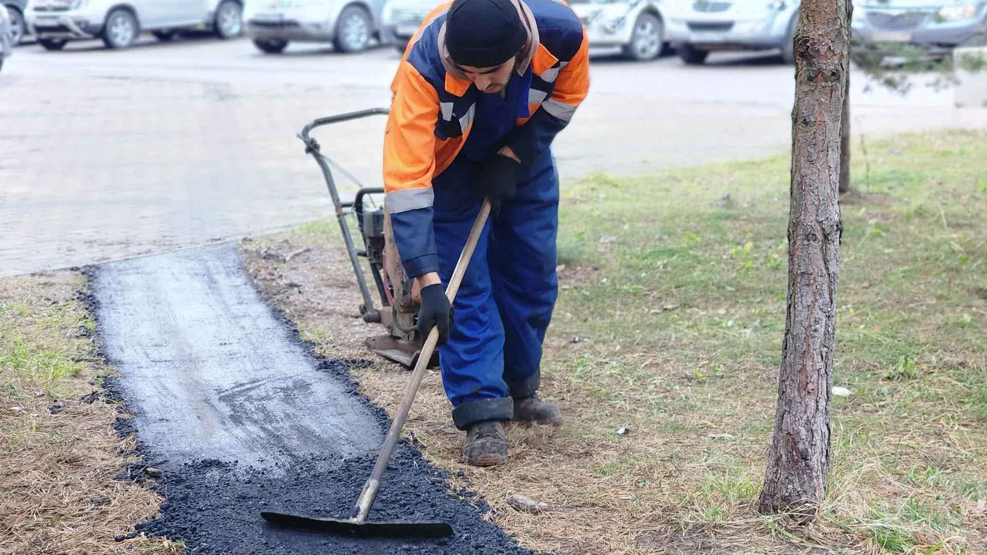 МедиаБанк Подмосковья/Наталья Дорошева