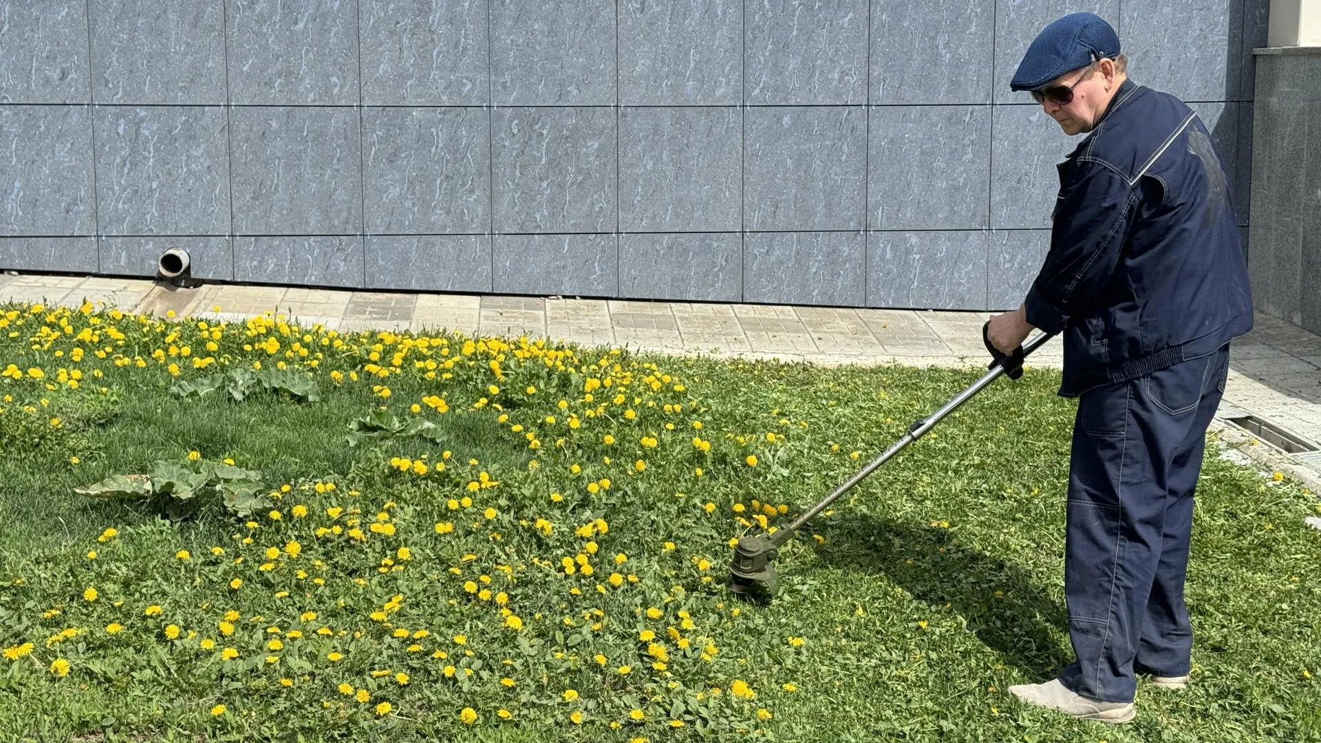 REGIONS/Александр Легкий