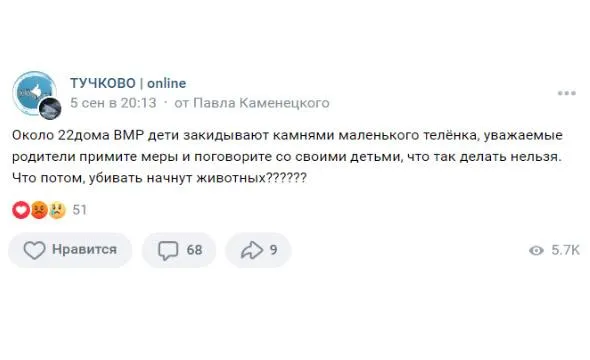 Фото: ТУЧКОВО | online / Вконтакте