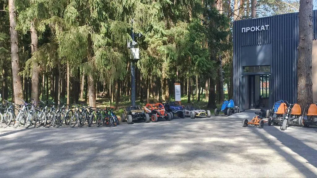 Фото: Министерство благоустройства Московской области