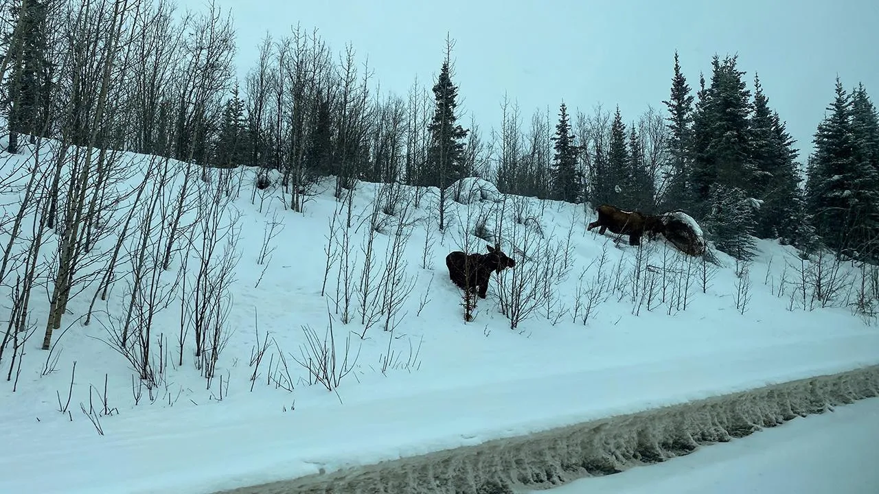 istockphoto.com/Debora Vandor