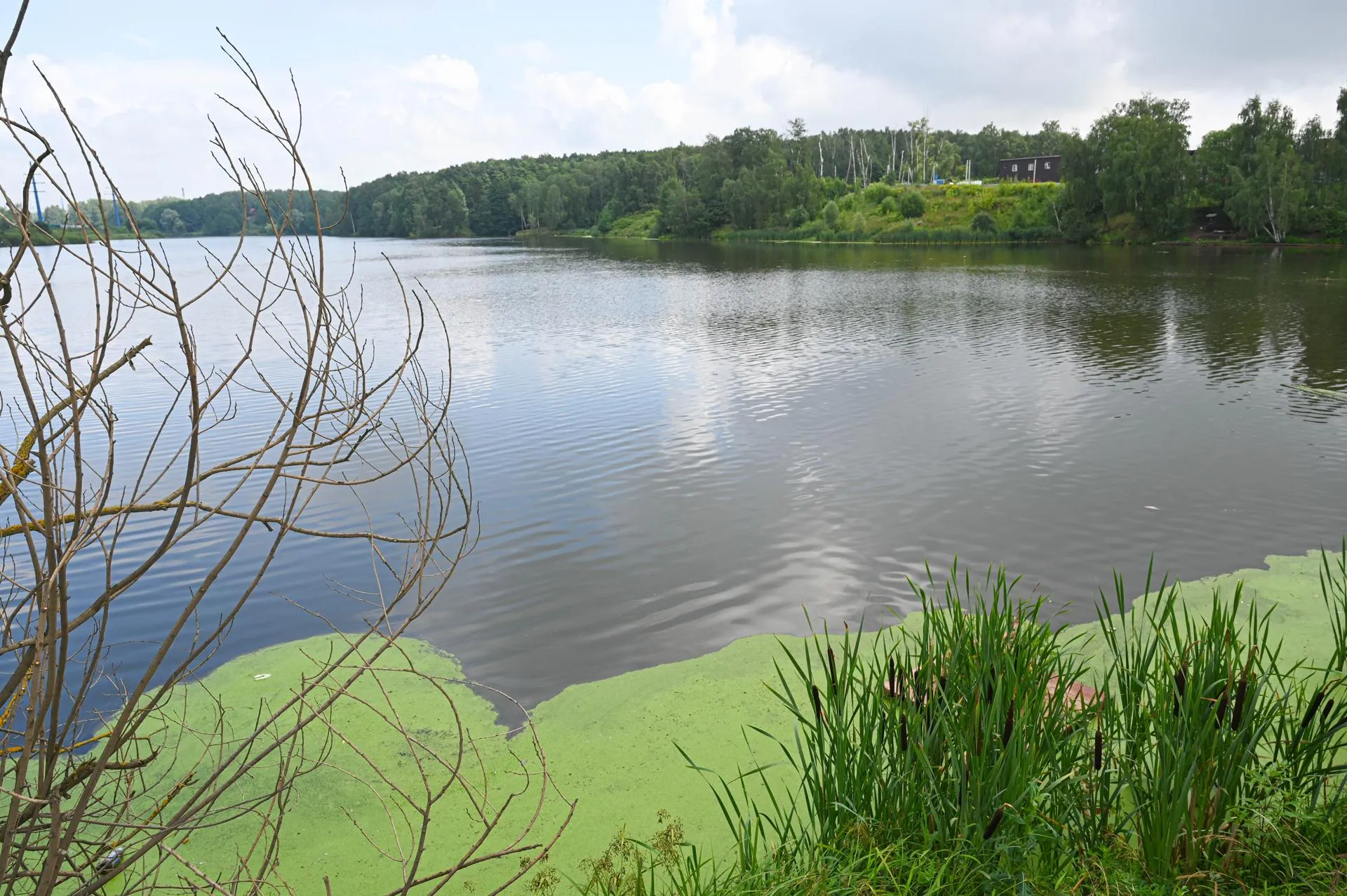Фото: пресс-служба Администрации Ленинского г.о.