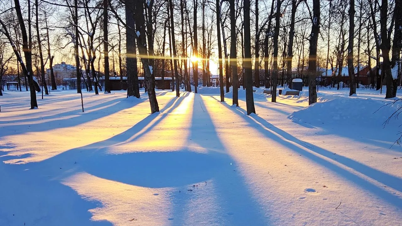 REGIONS/Алексей Селиверстов