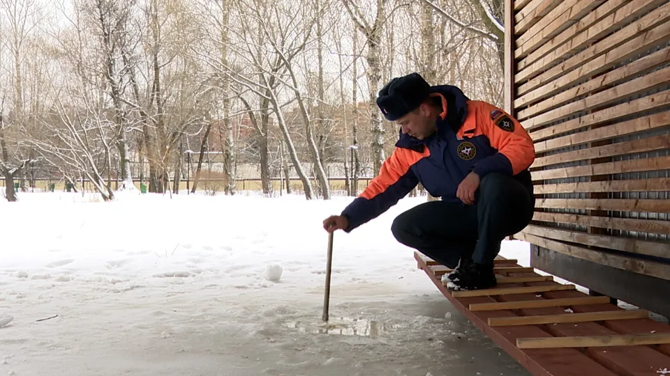 Фото: МедиаБанк Подмосковья/Ксения Казакова