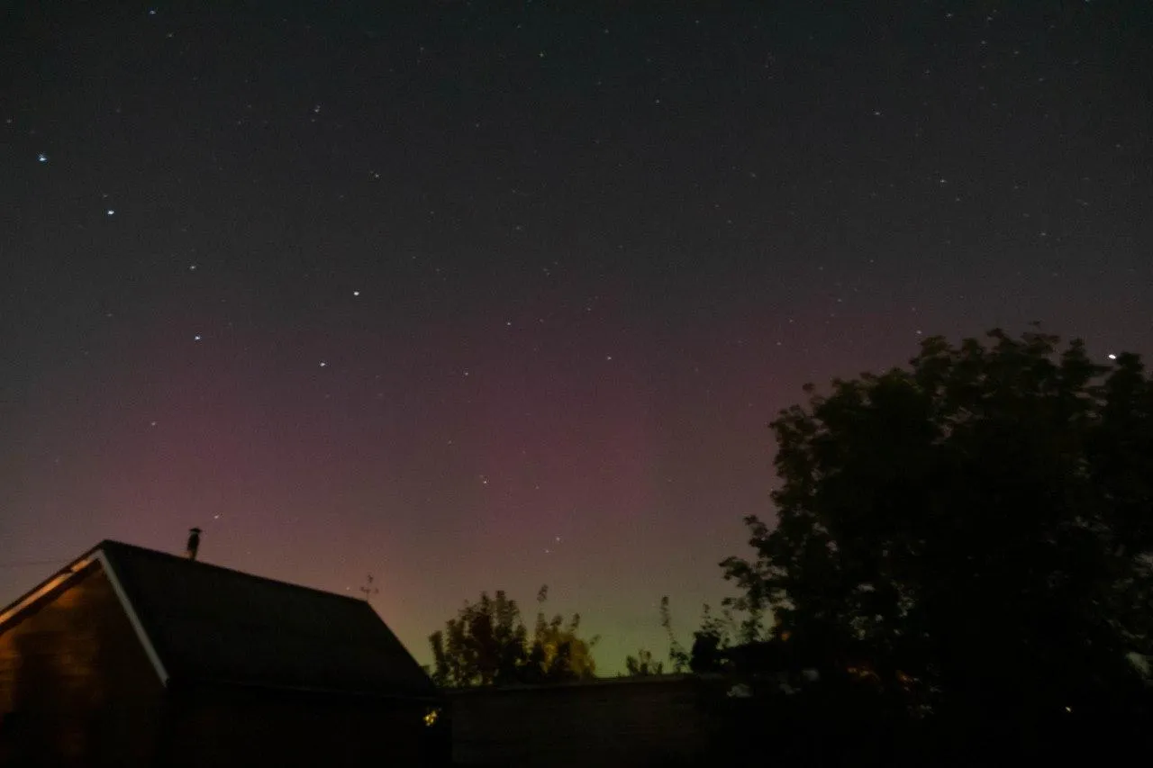 Фото из соцсетей