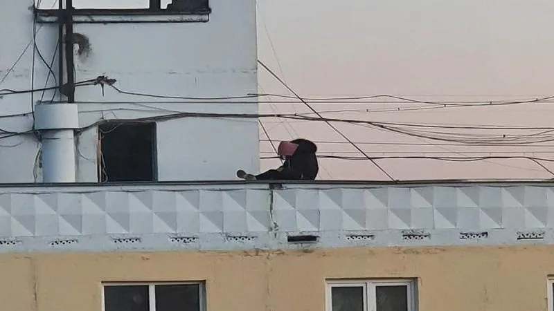 "ЧП Дмитров" ВКонтакте