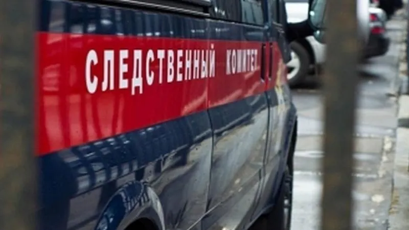 Пьяный мужчина в Люберцах забил до смерти свою 87-летнюю бабушку