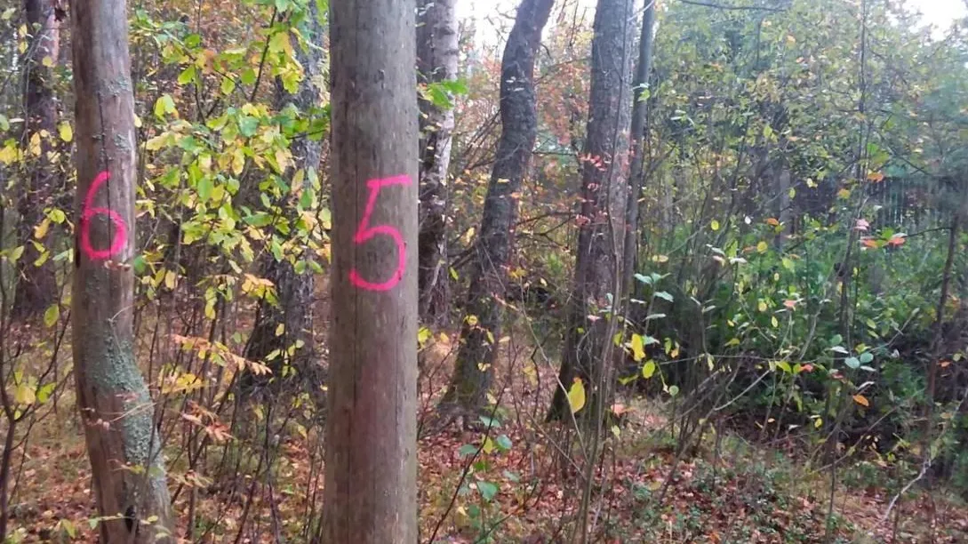 Комитет лесного хозяйства Московской области